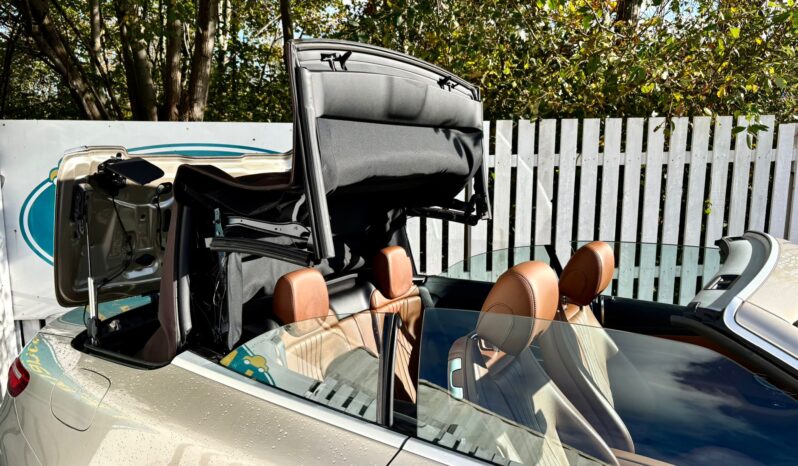 Mercedes-Benz E300 2.0 AMG Line (Premium Plus) (s/s) 9G-Tronic, 2017, Automatic, 2 Door Convertible full